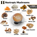 Vitality Bundle - Javaberry + 1111 Organic Mushroom Coffee