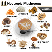Vitality Bundle - Javaberry + 1111 Organic Mushroom Coffee