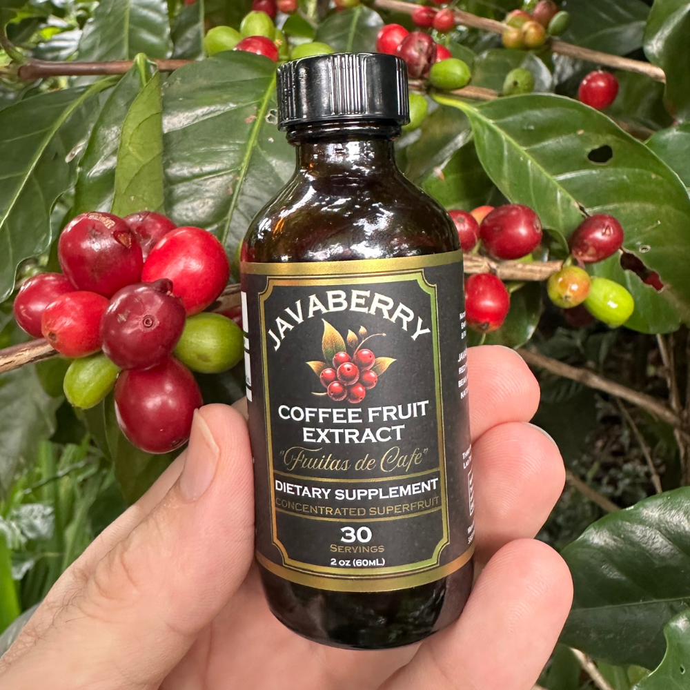Javaberry Coffee Fruit Extract – Natural Energy + Antioxidants | OhmYe ...
